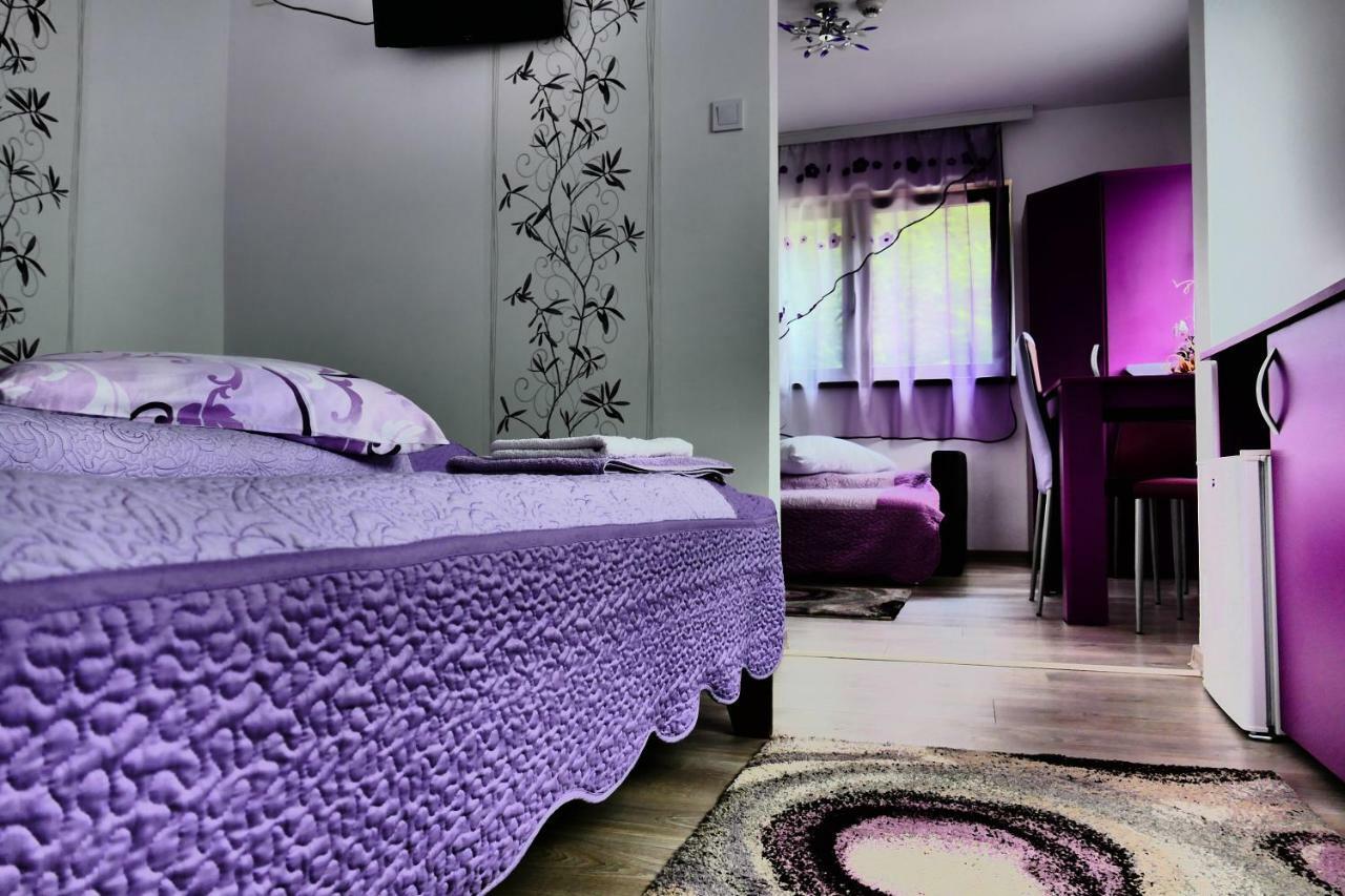 Pensiunea Roua Florilor Hotel Anina Ngoại thất bức ảnh